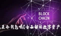 雷达钱包是冷钱包吗？全面解析数字资产安全存