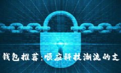 最强数字钱包推荐：顺应科技潮流的支付新方式