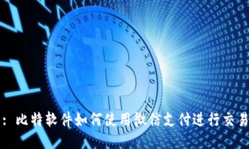: 比特软件如何使用微信支付进行交易