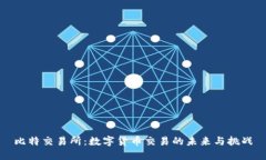 比特交易所：数字货币交易的未来与挑战