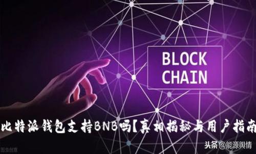 比特派钱包支持BNB吗？真相揭秘与用户指南
