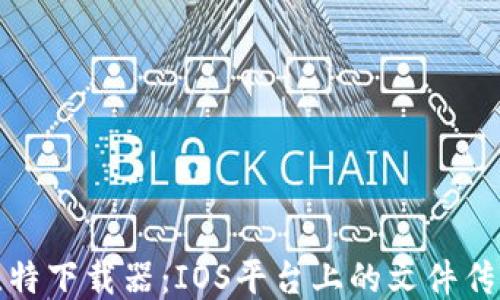 
探索比特下载器：IOS平台上的文件传输利器