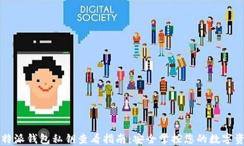 
比特派钱包私钥查看指南：安全掌控您的数字资产