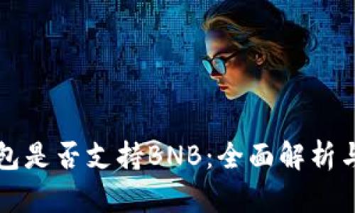 比特派钱包是否支持BNB：全面解析与使用指南