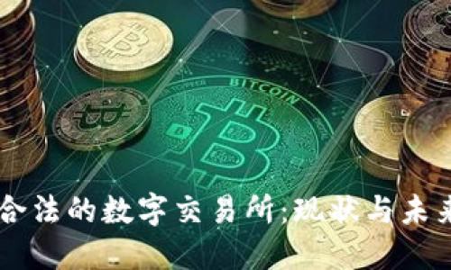 中国合法的数字交易所：现状与未来展望