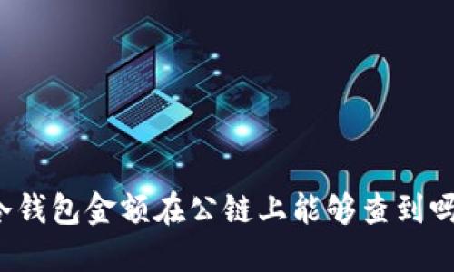 冷钱包金额在公链上能够查到吗？