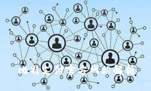 比特支付官方网站解析