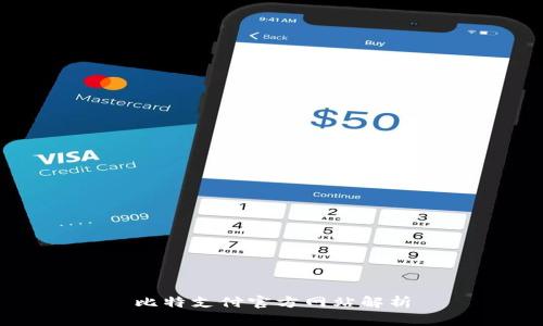 比特支付官方网站解析