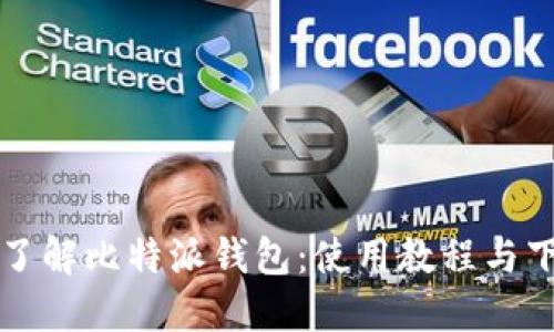 全方位了解比特派钱包：使用教程与下载指南