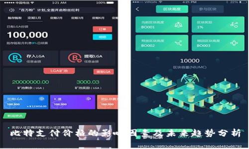 比特支付价格的影响因素及未来趋势分析