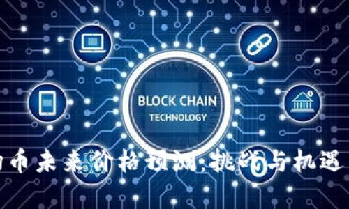 波场币未来价格预测：挑战与机遇并存