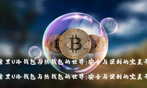 探索黑U冷钱包与热钱包的世界：安全与便利的完美平衡

探索黑U冷钱包与热钱包的世界：安全与便利的完美平衡