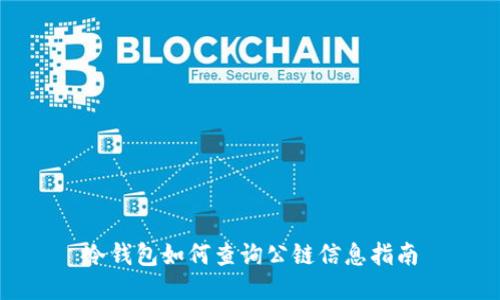 冷钱包如何查询公链信息指南