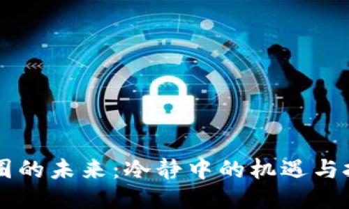 币圈的未来：冷静中的机遇与挑战