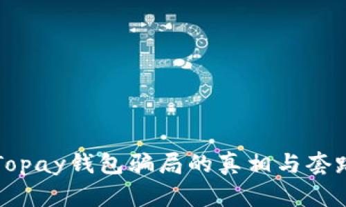 揭穿Topay钱包骗局的真相与套路分析