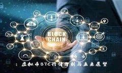 : 虚拟币BTC行情分析与未来展望