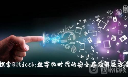 探索Bitdock：数字化时代的安全存储解决方案