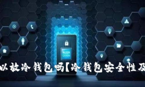 太坊币可以放冷钱包吗？冷钱包安全性及使用指南