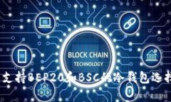 全方位解析：支持BEP20和BSC的冷钱包选择与使用指