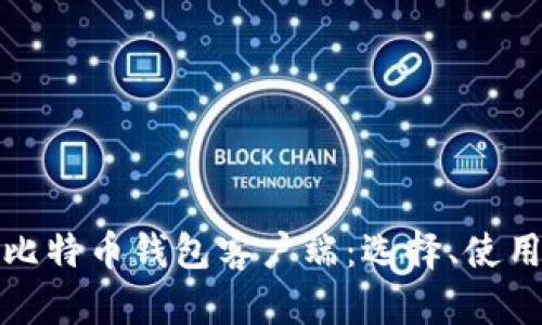 全面解析比特币钱包客户端：选择、使用与安全性