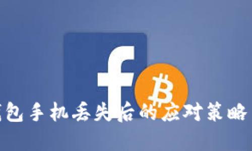 数字币冷钱包手机丢失后的应对策略与安全措施