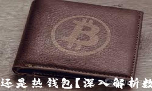 
IM钱包是冷钱包还是热钱包？深入解析数字货币存储安全