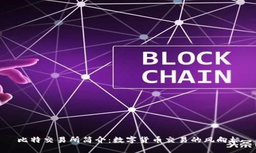 比特交易所简介：数字货币交易的风向标