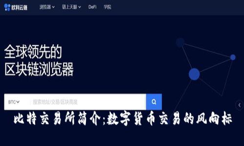 比特交易所简介：数字货币交易的风向标