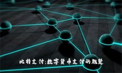 比特支付：数字货币支付的翘楚