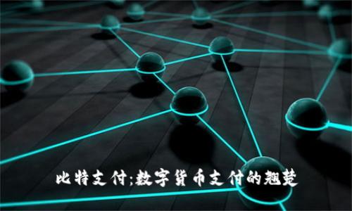 比特支付：数字货币支付的翘楚