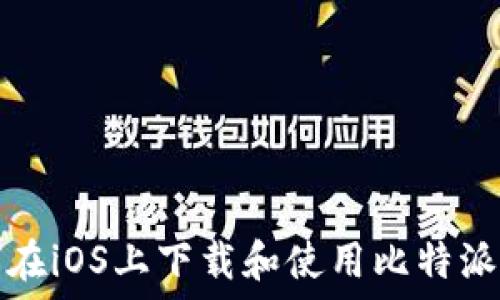   
如何在iOS上下载和使用比特派钱包