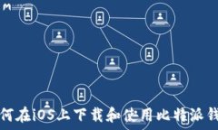   如何在iOS上下载和使用比特派钱包