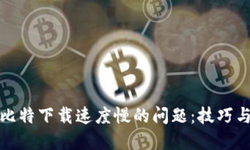 解决比特下载速度慢的问题：技巧与策略