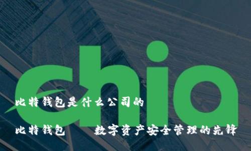 比特钱包是什么公司的

比特钱包——数字资产安全管理的先锋