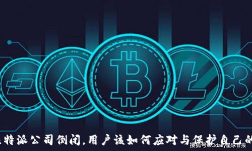   
如果比特派公司倒闭，用户该如何应对与保护自己的资产？