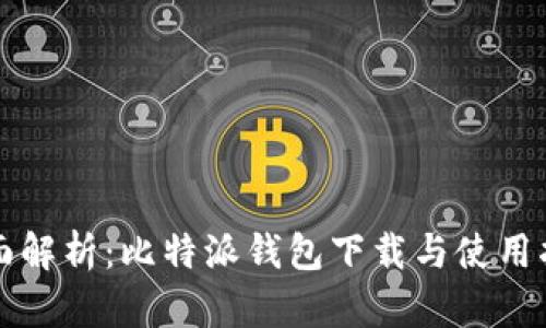全面解析：比特派钱包下载与使用指南