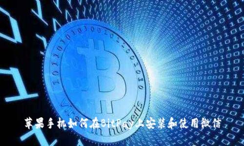 苹果手机如何在BitPay上安装和使用微信