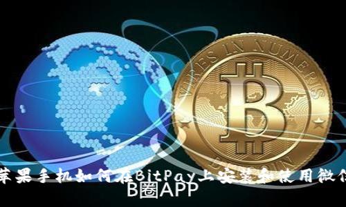 苹果手机如何在BitPay上安装和使用微信