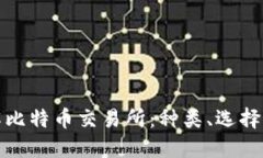 全面了解比特币交易所：种类、选择与安全性
