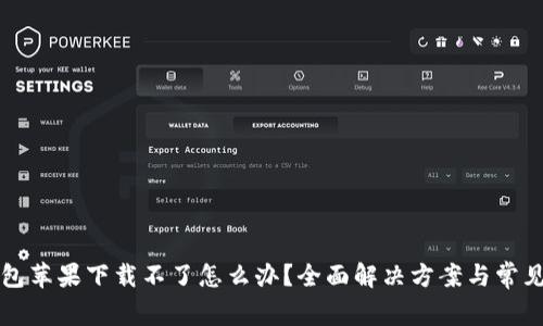 比特派钱包苹果下载不了怎么办？全面解决方案与常见问题解答