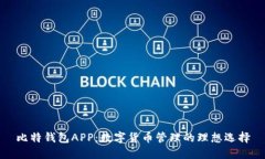 比特钱包APP：数字货币管理的理想选择