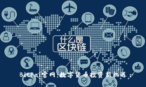 BitPai官网：数字货币投资新机遇