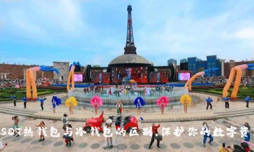  了解USDT热钱包与冷钱包的区别，保护你的数字资产安全！