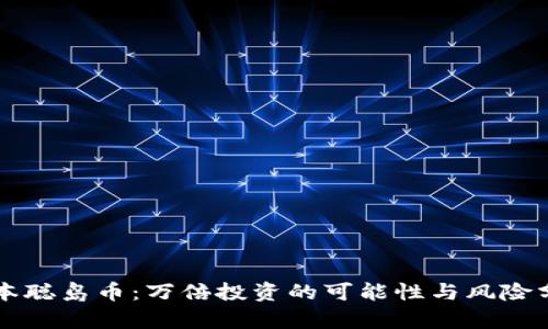 中本聪岛币：万倍投资的可能性与风险分析