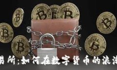   揭秘波场交易所：如何在数字货币的浪潮中破浪