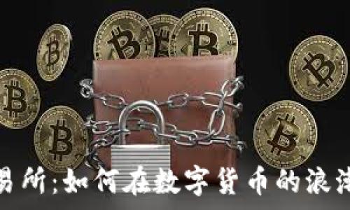   
揭秘波场交易所：如何在数字货币的浪潮中破浪前行