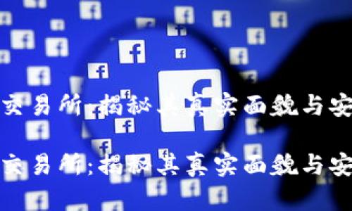 波场交易所：揭秘其真实面貌与安全性

波场交易所：揭秘其真实面貌与安全性