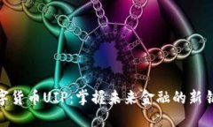 数字货币UIP：掌握未来金融的新钥匙