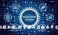 在数字浪潮中把握机遇，探索国内虚拟币平台的