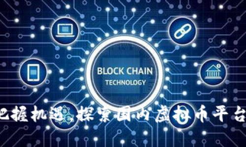 在数字浪潮中把握机遇，探索国内虚拟币平台的无限可能性！